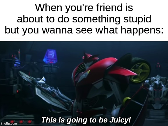 love to see what dumb things they do. Thats what friends are for right? | When you're friend is about to do something stupid but you wanna see what happens: | image tagged in juicy knockout,dumb,you just got vectored,friends | made w/ Imgflip meme maker