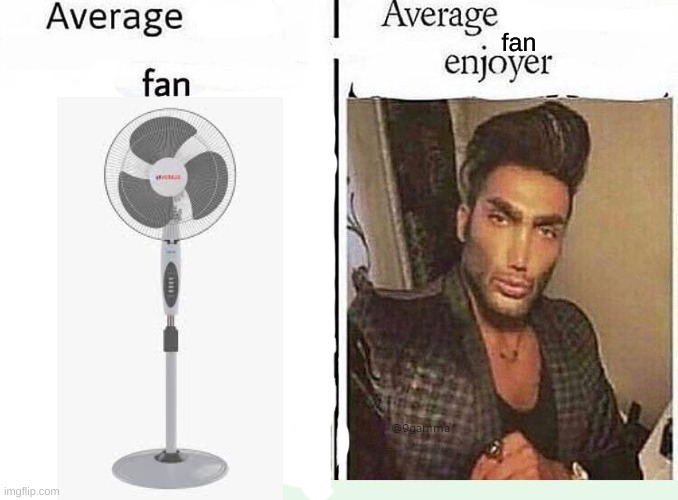 Fan | fan | image tagged in average blank fan vs average blank enjoyer | made w/ Imgflip meme maker