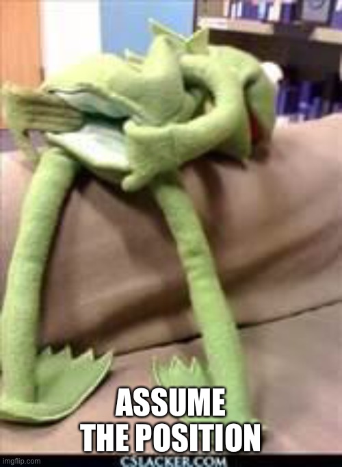 Gay kermit | ASSUME THE POSITION | image tagged in gay kermit | made w/ Imgflip meme maker