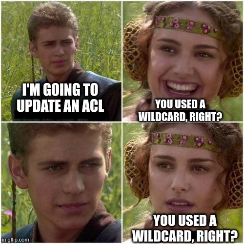 Network ACLs | I'M GOING TO UPDATE AN ACL; YOU USED A WILDCARD, RIGHT? YOU USED A WILDCARD, RIGHT? | image tagged in anakin and padme | made w/ Imgflip meme maker