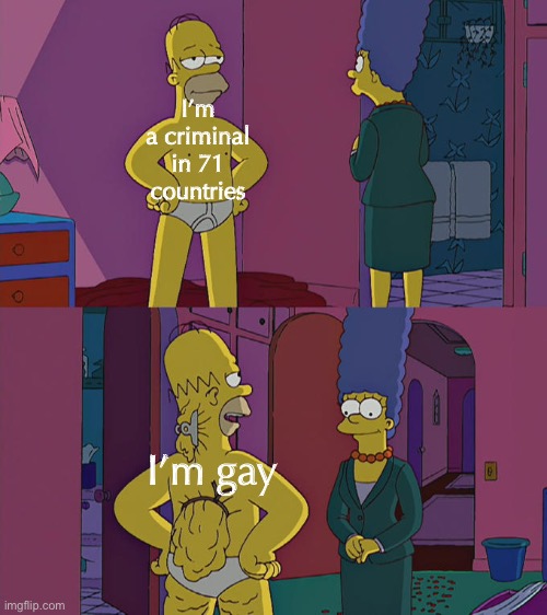 Homer Simpson's Back Fat | I’m a criminal in 71 countries; I’m gay | image tagged in homer simpson's back fat | made w/ Imgflip meme maker
