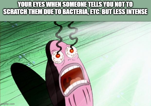 itchy eyes |  YOUR EYES WHEN SOMEONE TELLS YOU NOT TO SCRATCH THEM DUE TO BACTERIA, ETC. BUT LESS INTENSE | image tagged in spongebob my eyes | made w/ Imgflip meme maker