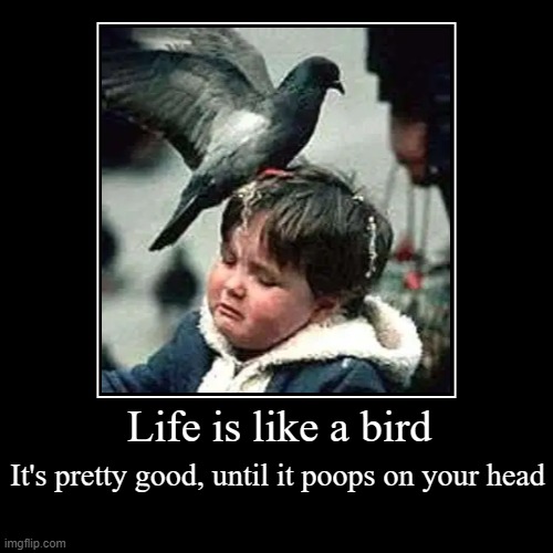 Life is like a bird | image tagged in funny,demotivationals | made w/ Imgflip demotivational maker