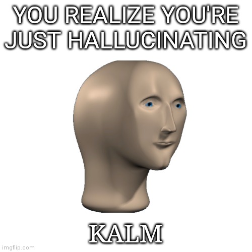 YOU REALIZE YOU'RE JUST HALLUCINATING KALM | made w/ Imgflip meme maker