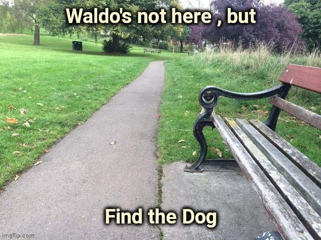 Let's play a game | image tagged in where's waldo,well yes but actually no,introspective pug,hide and seek,dog | made w/ Imgflip meme maker