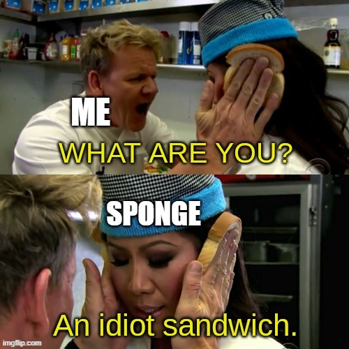 Gordon Ramsay idiot sandwich with text | ME SPONGE | image tagged in gordon ramsay idiot sandwich with text | made w/ Imgflip meme maker