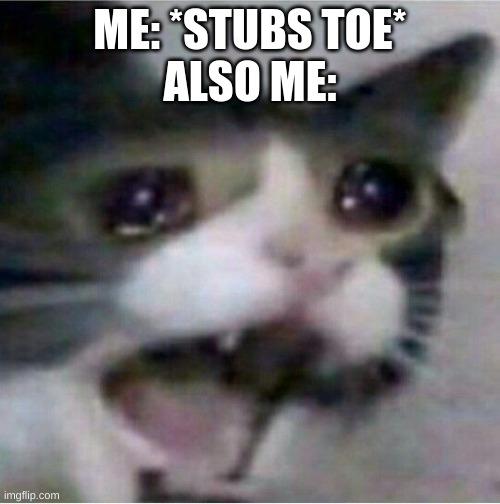 crying cat | ME: *STUBS TOE*
ALSO ME: | image tagged in crying cat | made w/ Imgflip meme maker