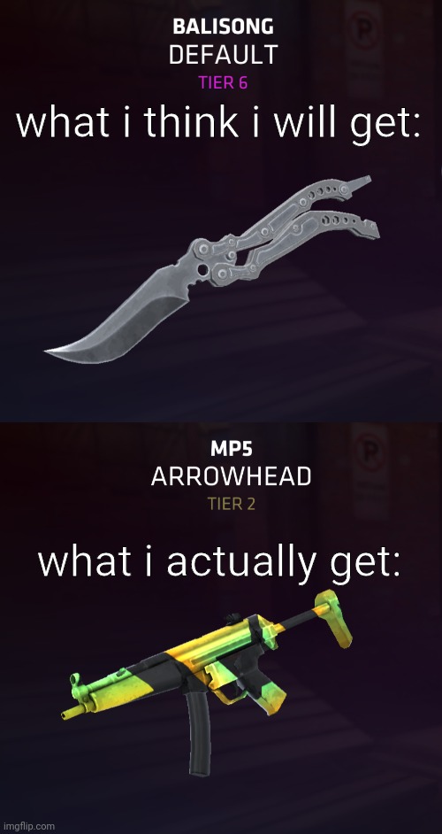 what i think i will get:; what i actually get: | made w/ Imgflip meme maker