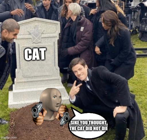 Didnt Die | CAT; SIKE YOU THOUGHT THE CAT DID NOT DIE | image tagged in grant gustin over grave | made w/ Imgflip meme maker