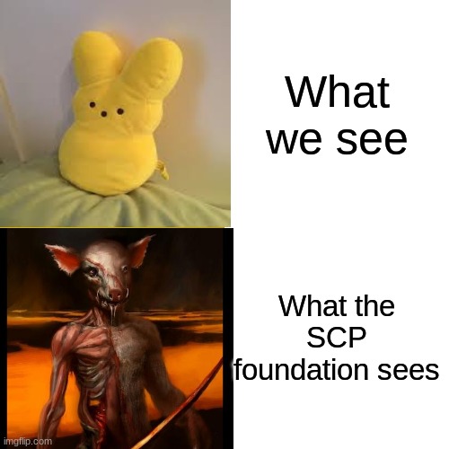 What we see VS what the foundation sees | What we see; What the SCP foundation sees | image tagged in scp meme | made w/ Imgflip meme maker