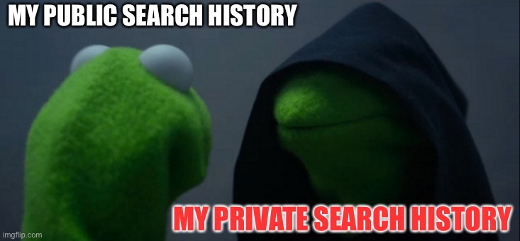 Evil Kermit | MY PUBLIC SEARCH HISTORY; MY PRIVATE SEARCH HISTORY | image tagged in memes,evil kermit | made w/ Imgflip meme maker