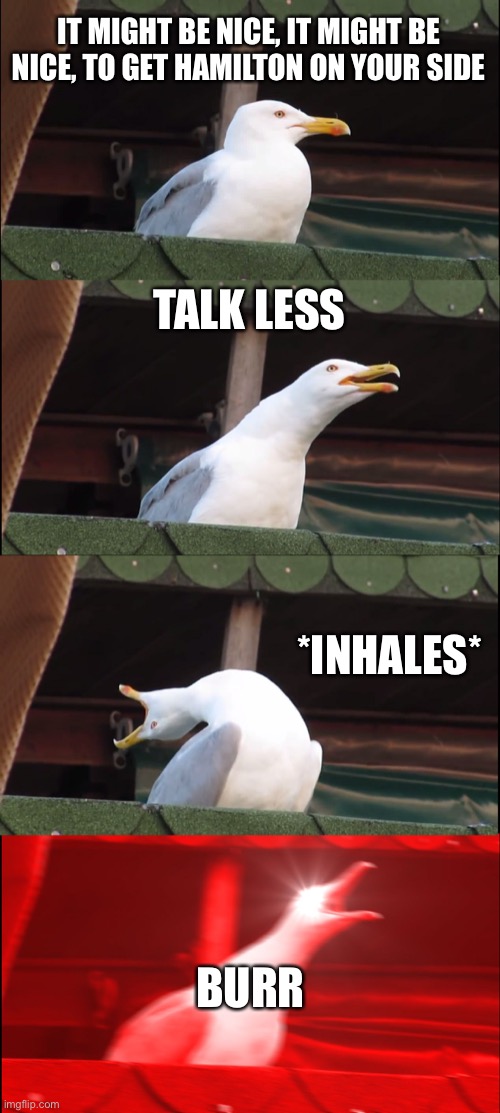 Inhaling Seagull | IT MIGHT BE NICE, IT MIGHT BE NICE, TO GET HAMILTON ON YOUR SIDE; TALK LESS; *INHALES*; BURR | image tagged in memes,inhaling seagull,hamilton,broadway,musical | made w/ Imgflip meme maker