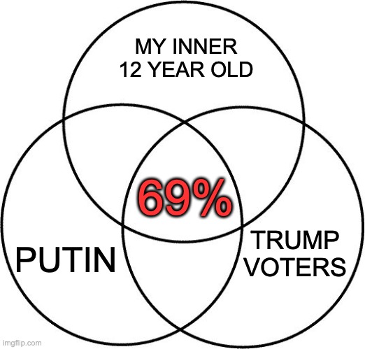 Venn diagram | MY INNER 12 YEAR OLD TRUMP VOTERS PUTIN 69% | image tagged in venn diagram | made w/ Imgflip meme maker