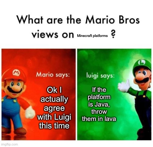 Mario vs luigi | Minecraft platforms; If the platform is Java, throw them in lava; Ok I actually agree with Luigi this time | image tagged in mario vs luigi | made w/ Imgflip meme maker