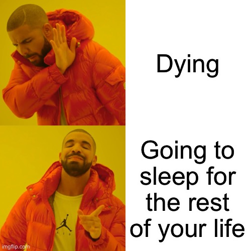Drake Hotline Bling Meme | Dying; Going to sleep for the rest of your life | image tagged in memes,drake hotline bling | made w/ Imgflip meme maker