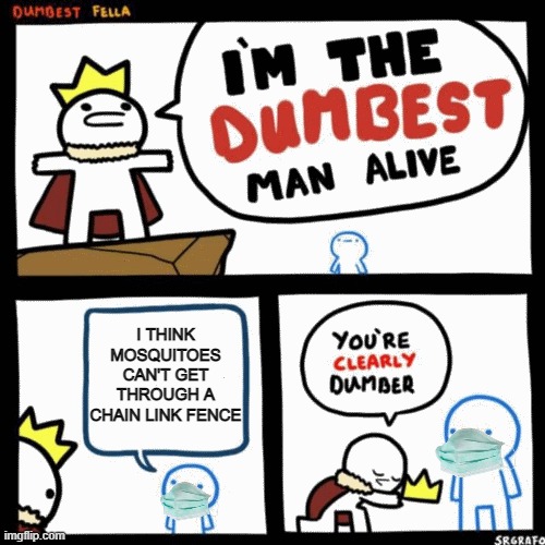 I'm the dumbest man alive | I THINK MOSQUITOES CAN'T GET THROUGH A CHAIN LINK FENCE | image tagged in i'm the dumbest man alive | made w/ Imgflip meme maker