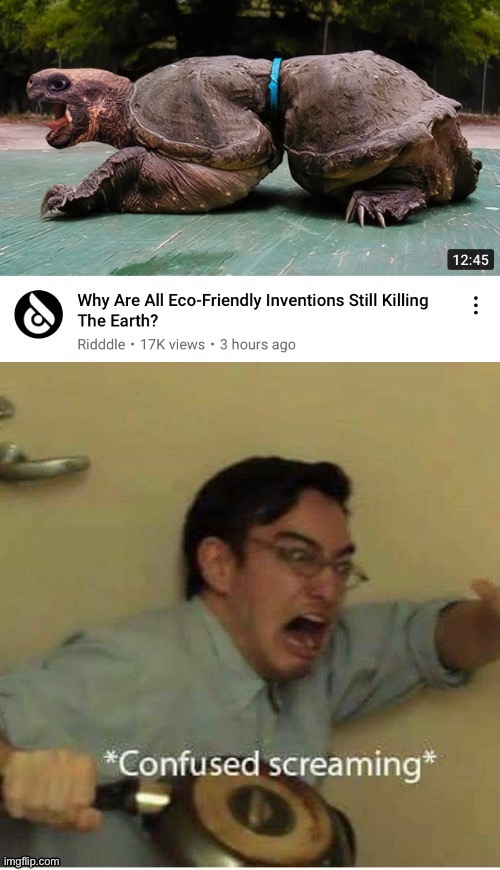 Animal rights activists might’ve gone too far with whatever the heck they were doing here. | image tagged in climate change,animals,confused screaming,turtles,animal rights | made w/ Imgflip meme maker