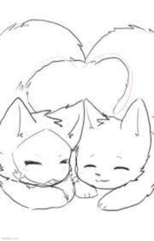 not mine but cute | image tagged in puro,chaned,humen | made w/ Imgflip meme maker