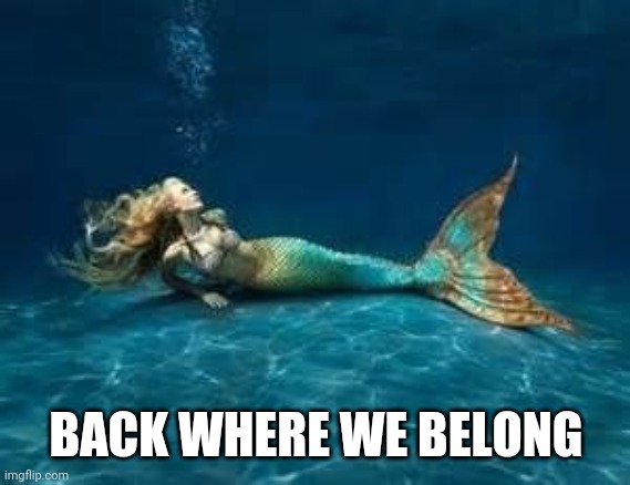 Mermaid  | BACK WHERE WE BELONG | image tagged in mermaid | made w/ Imgflip meme maker