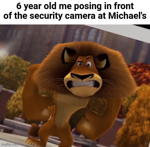 Michael's moment | 6 year old me posing in front of the security camera at Michael's | image tagged in madagascar,memes,relatable,shopping | made w/ Imgflip meme maker