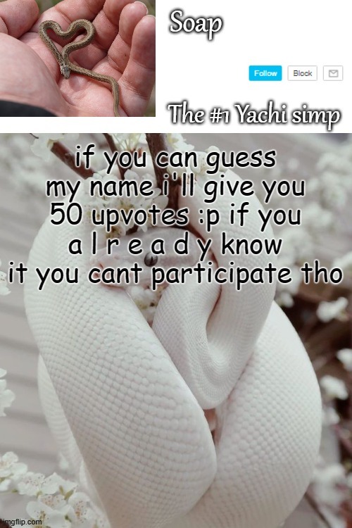 and there's only one winner the first to guess it's 5 letters btw | if you can guess my name i'll give you 50 upvotes :p if you a l r e a d y know it you cant participate tho | image tagged in soap snake temp ty yachi | made w/ Imgflip meme maker