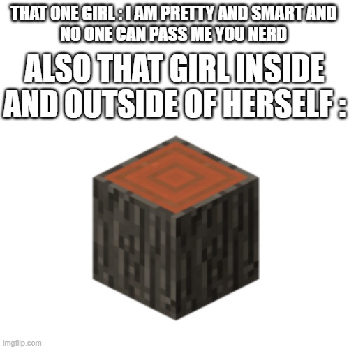 azertyuiop | THAT ONE GIRL : I AM PRETTY AND SMART AND 
NO ONE CAN PASS ME YOU NERD; ALSO THAT GIRL INSIDE AND OUTSIDE OF HERSELF : | image tagged in minecraft | made w/ Imgflip meme maker