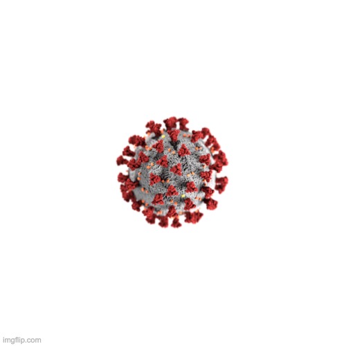 Blank Transparent Square | image tagged in memes,blank transparent square | made w/ Imgflip meme maker