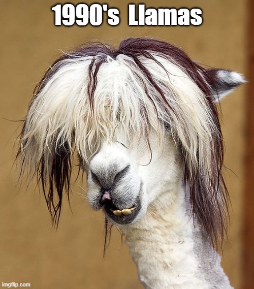 1990's Llamas | 1990's  Llamas | image tagged in funny | made w/ Imgflip meme maker