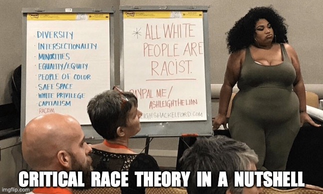 CRITICAL  RACE  THEORY  IN  A  NUTSHELL | image tagged in critical race theory,race,racism,sjw | made w/ Imgflip meme maker