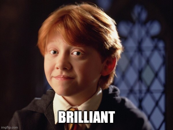 Ron Weasley | BRILLIANT | image tagged in ron weasley | made w/ Imgflip meme maker