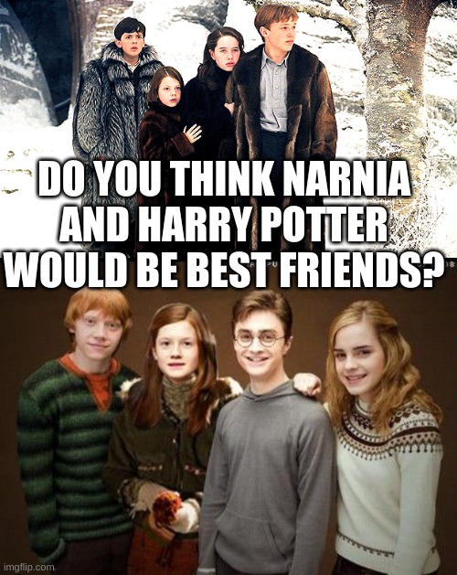 DO YOU THINK NARNIA AND HARRY POTTER WOULD BE BEST FRIENDS? | image tagged in narnia | made w/ Imgflip meme maker