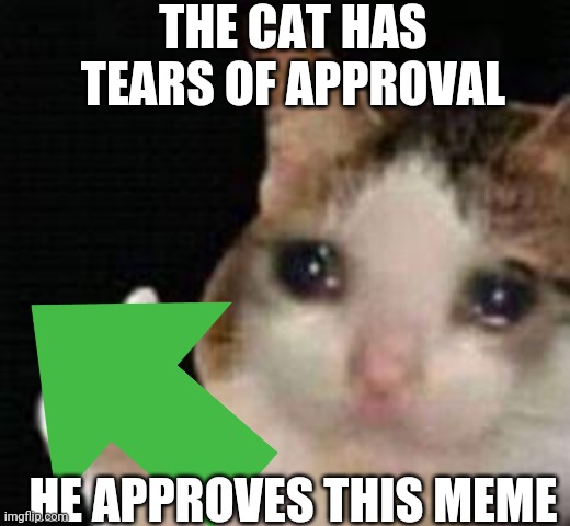 THE CAT HAS TEARS OF APPROVAL HE APPROVES THIS MEME | made w/ Imgflip meme maker