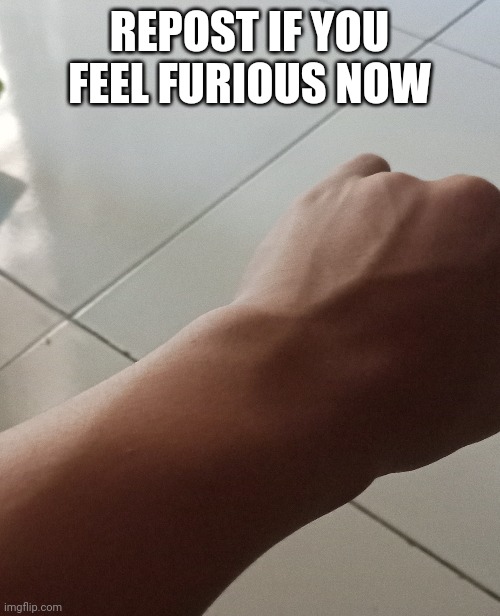 REPOST IF YOU FEEL FURIOUS NOW | made w/ Imgflip meme maker
