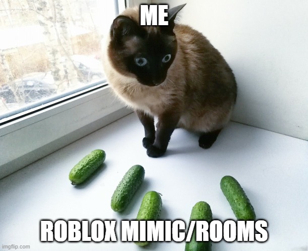 Cat scared of cucumber | ME; ROBLOX MIMIC/ROOMS | image tagged in roblox | made w/ Imgflip meme maker