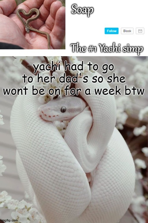 she told me to tell you she said bai | yachi had to go to her dad's so she wont be on for a week btw | image tagged in soap snake temp ty yachi | made w/ Imgflip meme maker