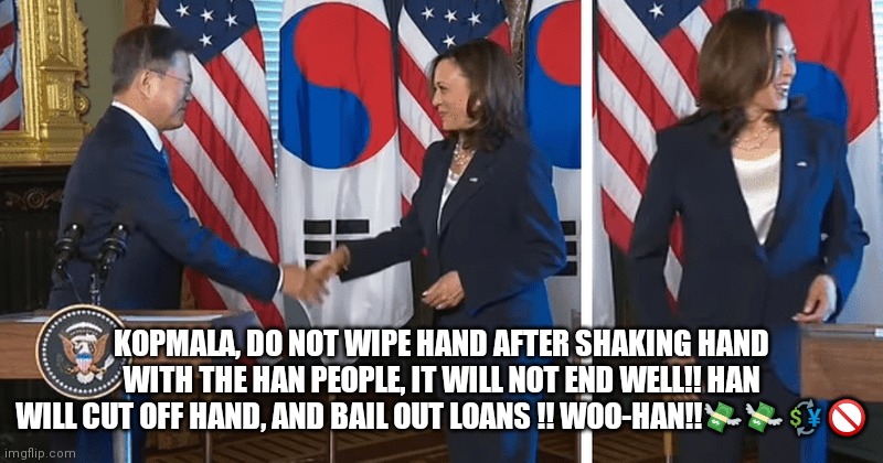 Kamala hand wipe | KOPMALA, DO NOT WIPE HAND AFTER SHAKING HAND WITH THE HAN PEOPLE, IT WILL NOT END WELL!! HAN WILL CUT OFF HAND, AND BAIL OUT LOANS !! WOO-HAN!!💸💸💱🚫 | image tagged in kamala harris,china | made w/ Imgflip meme maker