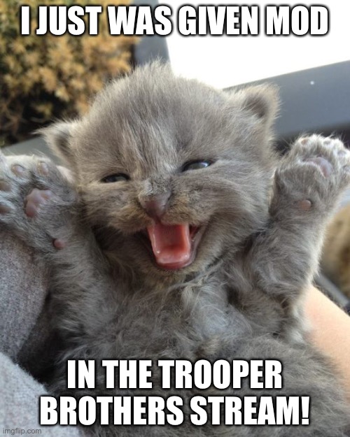 I just got mod! | I JUST WAS GIVEN MOD; IN THE TROOPER BROTHERS STREAM! | image tagged in yay kitty,imgflip mods,trooper brothers | made w/ Imgflip meme maker