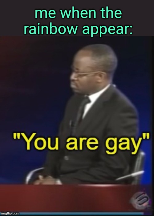 . | me when the rainbow appear: | image tagged in you are gay | made w/ Imgflip meme maker