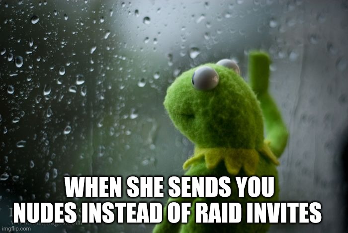 kermit window | WHEN SHE SENDS YOU NUDES INSTEAD OF RAID INVITES | image tagged in kermit window | made w/ Imgflip meme maker