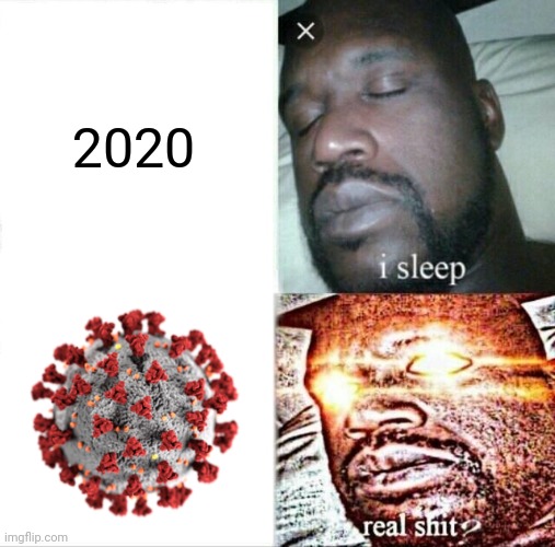 COVID-19 sux!!! | 2020 | image tagged in memes,sleeping shaq,coronavirus,covid-19,why,2020 | made w/ Imgflip meme maker