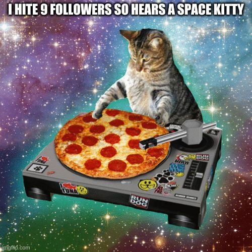 Space Cat Happy Birthday | I HITE 9 FOLLOWERS SO HEARS A SPACE KITTY | image tagged in space cat happy birthday | made w/ Imgflip meme maker