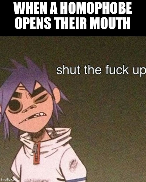 2D doesn’t like homophobes and neither do i | WHEN A HOMOPHOBE OPENS THEIR MOUTH | image tagged in homophobia,stfu | made w/ Imgflip meme maker