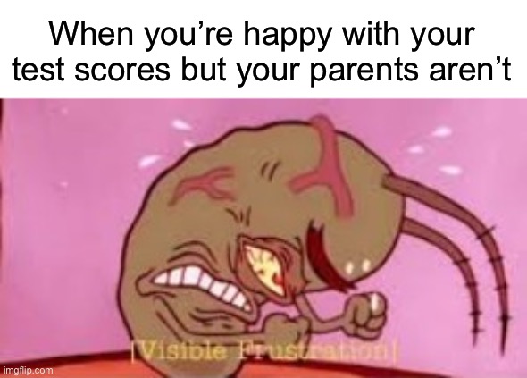 That feeling of satisfaction gone | When you’re happy with your test scores but your parents aren’t | image tagged in visible frustration | made w/ Imgflip meme maker