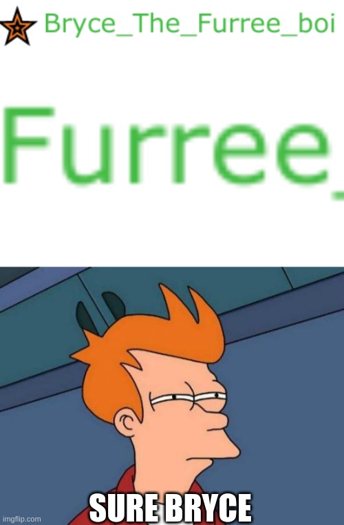 SURE BRYCE | image tagged in memes,futurama fry | made w/ Imgflip meme maker