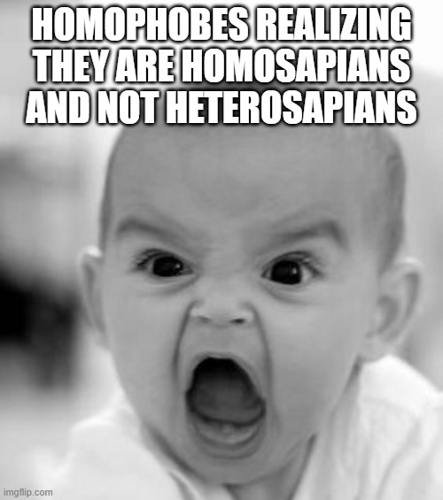 Angry Baby Meme | HOMOPHOBES REALIZING THEY ARE HOMOSAPIANS AND NOT HETEROSAPIANS | image tagged in memes,angry baby | made w/ Imgflip meme maker