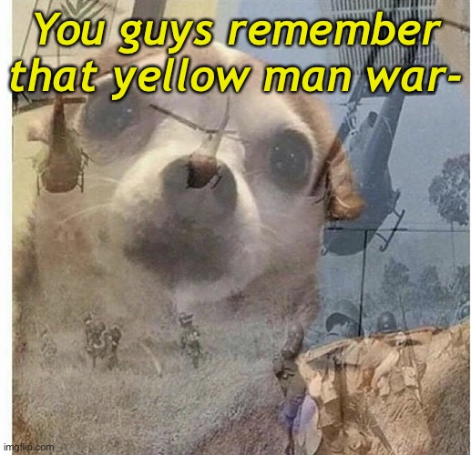 ; - ; | You guys remember that yellow man war- | image tagged in ptsd chihuahua | made w/ Imgflip meme maker