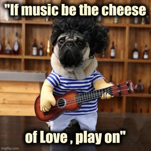 Ukelele Pug | "If music be the cheese of Love , play on" | image tagged in ukelele pug | made w/ Imgflip meme maker