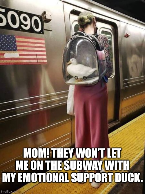 Quackers International | MOM! THEY WON’T LET ME ON THE SUBWAY WITH MY EMOTIONAL SUPPORT DUCK. | image tagged in funny memes | made w/ Imgflip meme maker