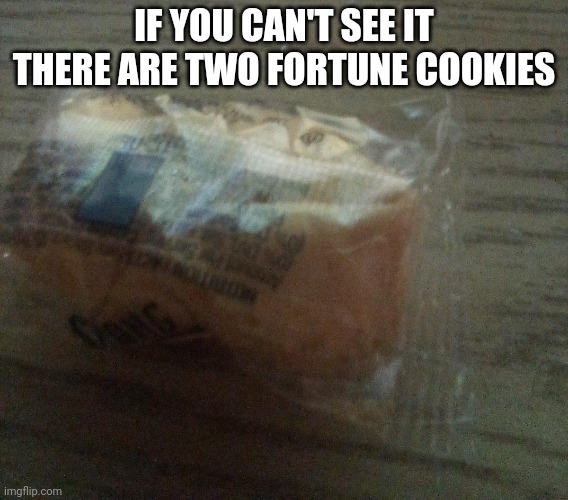 How is my sister so lucky? | IF YOU CAN'T SEE IT THERE ARE TWO FORTUNE COOKIES | image tagged in lucky | made w/ Imgflip meme maker