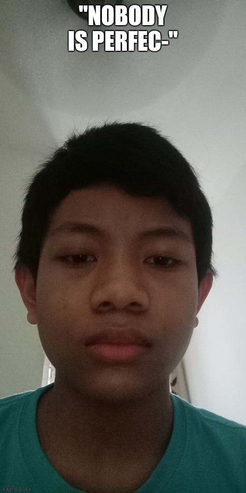 "NOBODY IS PERFEC-" | made w/ Imgflip meme maker